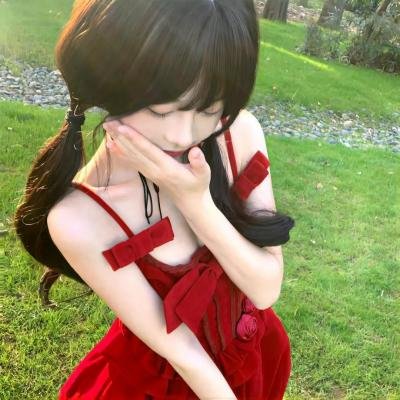 护花大臣